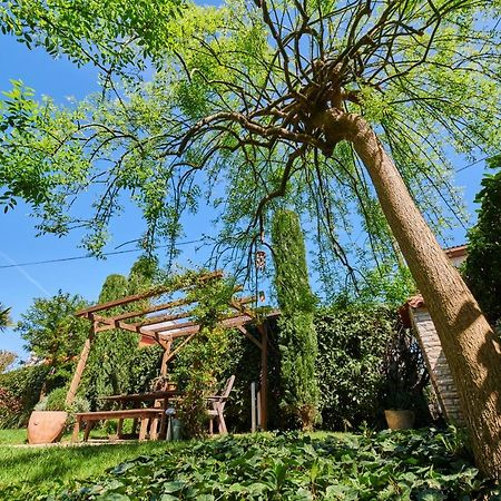 Avantgarden Umag Zewnętrze zdjęcie